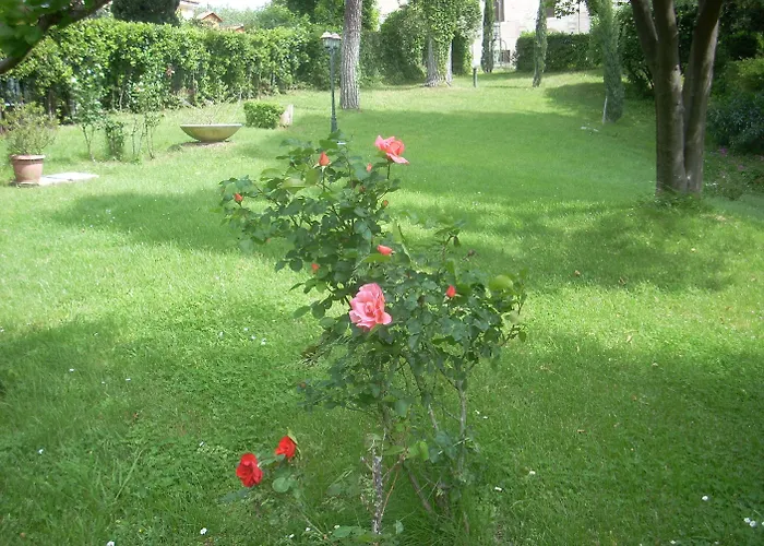 Park Dei Massimi